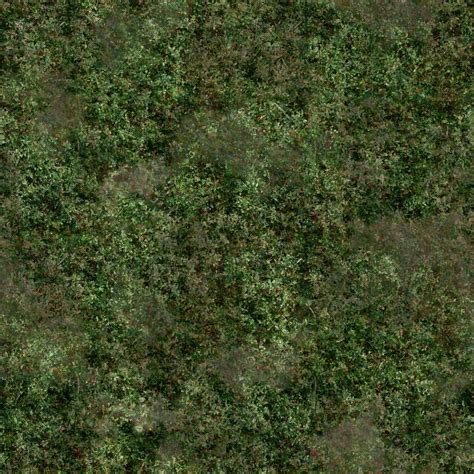 Jungle Grass Textures