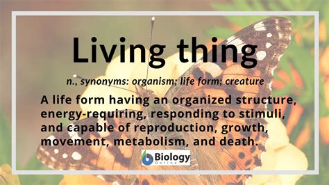 Living Things Definition And Examples Biology Online Dictionary
