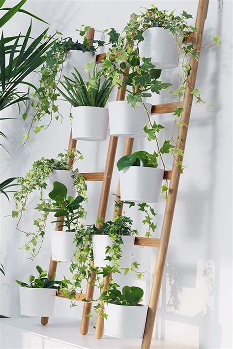 10 Awesome Diy Plant Shelf Design Ideas To Organize Your Indoor Garden