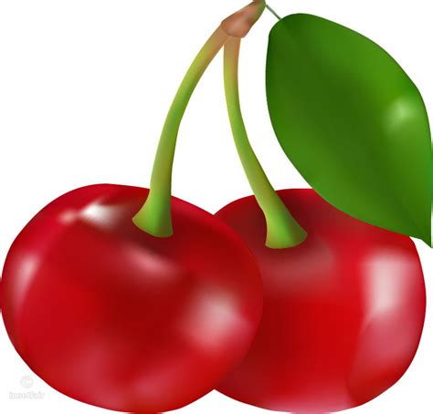 Cherry Vector Free At Collection Of Cherry Vector