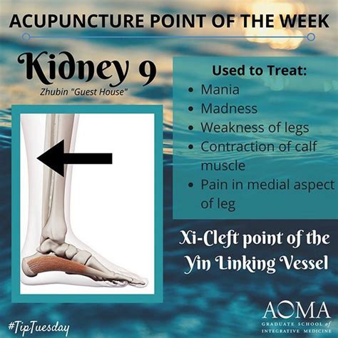Tiptuesday Acupuncture Point Of The Week Kidney 9 Tcm Aoma