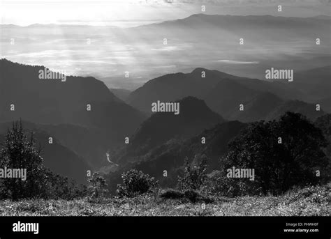 Fog And Cloud Mountain Valley Landscape Stock Photo Alamy