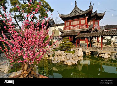 Traditional Chinese Gardens And Red Pavillion At Yu Yuan Shanghai