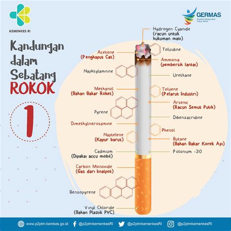 35 Kumpulan Gambar Poster Kandungan Rokok Terkeren Homposter Vrogue