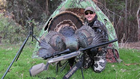 Turkey Hunt With Eva Shockey Golden Eagle 177 Air Rifle By Benjamin