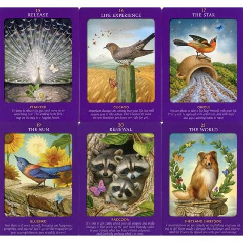 Animal Tarot Cards Owl The Druid Animal Oracle By Stephanie And