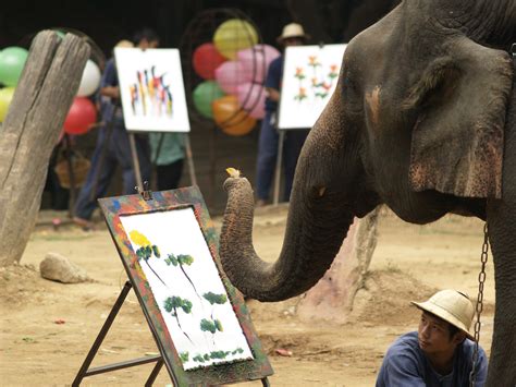 Elephant Painting Thailand At Explore Collection