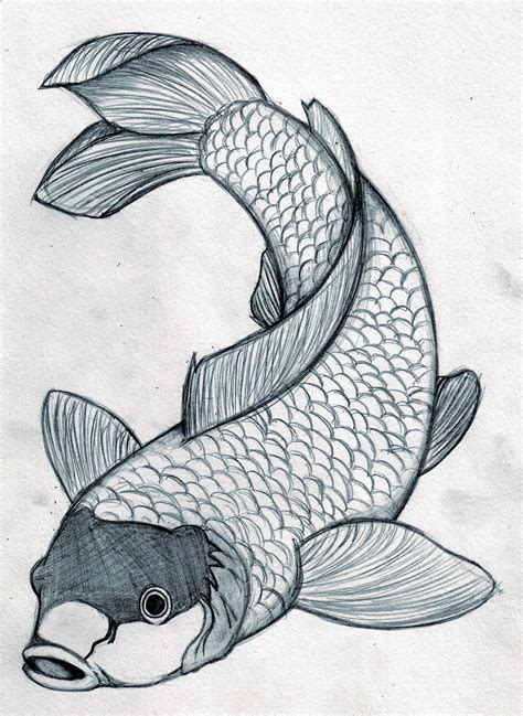 A Drawing Of A Koi Fish Swimming In The Water