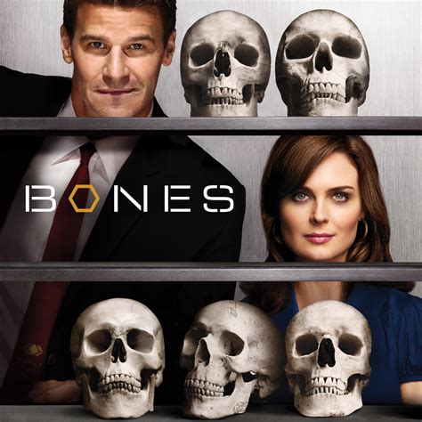Bones Season 4 On Itunes