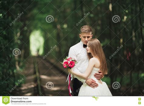Romantic Newlywed Couple Kissing In Pine Tree Forest Stock Image
