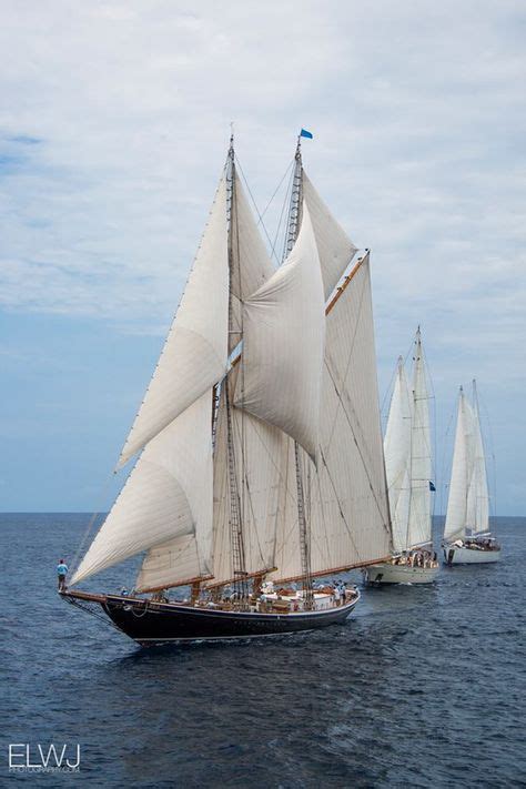 25 Best Schooner Columbia Images Schooner Sailing Ships Sailing