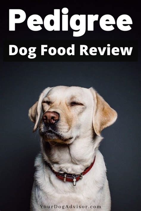 10 best pedigree dog foods of may 2021. Pedigree Dog Food Review | Your Dog Advisor