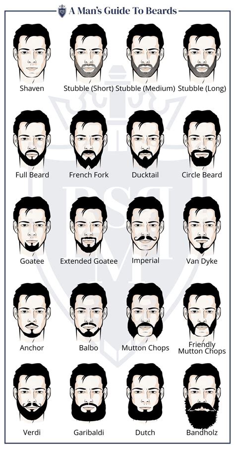 20 Best Beard Styles For Men Detailed Illustrations For 2023 In 2023 Beard Styles For Men