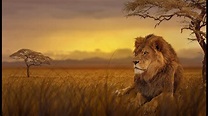 Lion King Takes Over a New Pride | National Geographic Wild Documentary ...