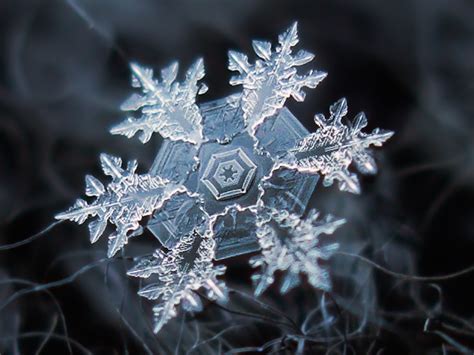 Photos Of Snowflakes Up Close Insider Snowflake Photography