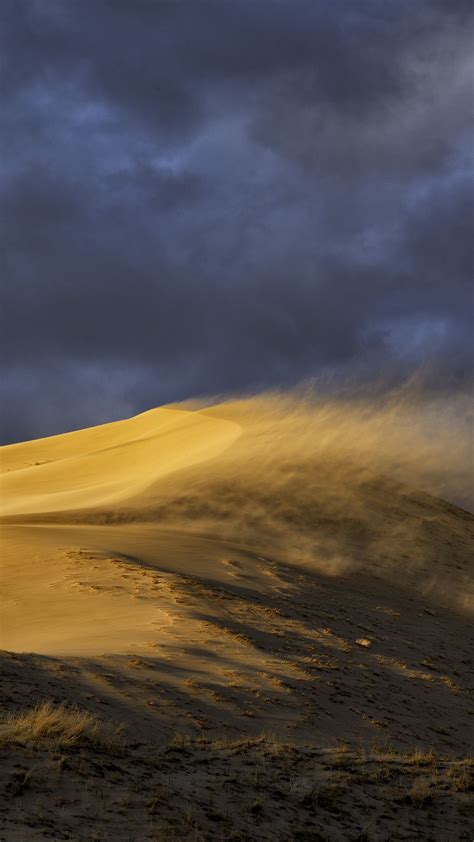 Sunset Desert Dune Sand Wind