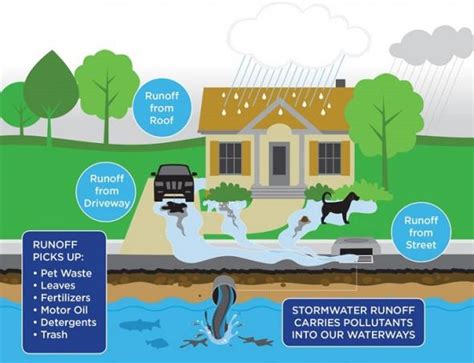 Steps To Prevent Stormwater Runoff Pollution Susquehanna Pa