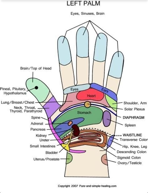 Reflexology Hand Zones