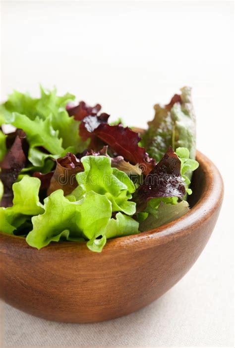 Bowl Color Of Fresh Lettuce Stock Photo Image Of Bowl Food 22136792