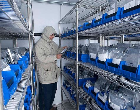 Перевод контекст seed banks c английский на русский от reverso context: The seed bank - Amazzonia 501 - Paghera