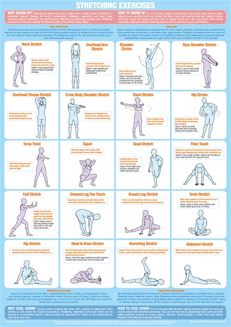Stretching Exercise Chart
