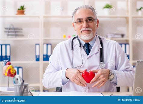 Doctor Cardiologist Diagnose Diagram Heart Stock Photography