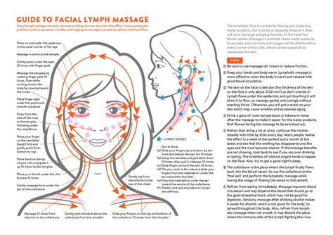 Facial Lymph Massage Direction Guide Poster Printable Etsy