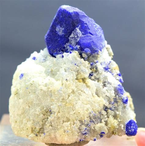 Blue Lapis Lazuli With Phlogopite And Golden Pyrite Mineral Specimen