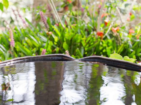 How To Water Plants Effectively 12 Steps With Pictures