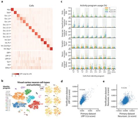 Identifying Gene Expression Programs Of Cell Type Identity And Cellular