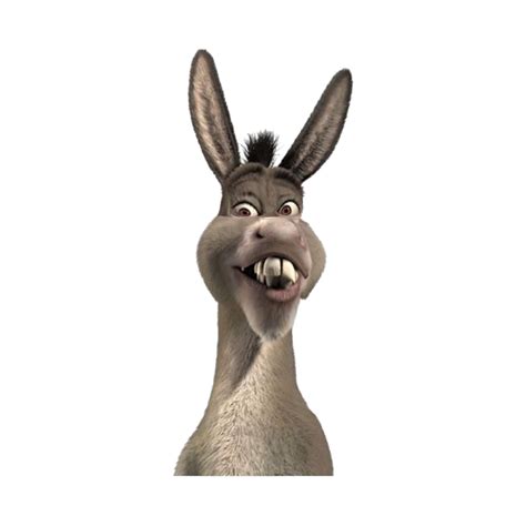 Donkey From Shrek Meme Shrek Long Sleeve T Shirt Teepublic