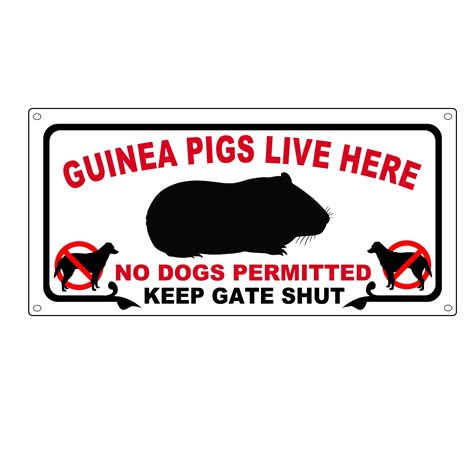 Personalised Or Standard Guinea Pig Sign Etsy
