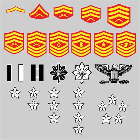Us Marine Corp Rank Insignia Vector Set Of Us Marine Corp Officer And