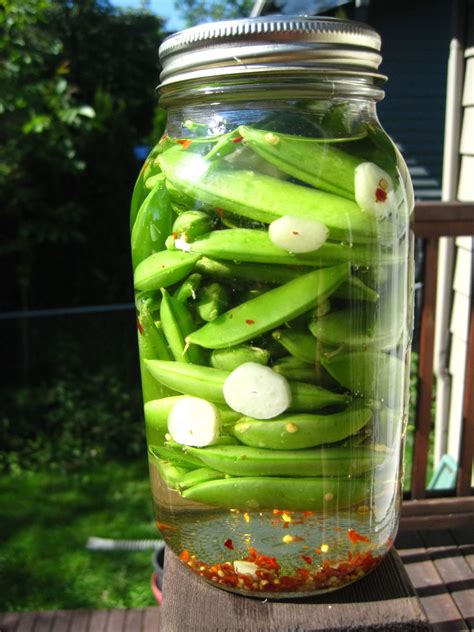 Pickled Sugar Snap Peas These Are Crazy Crispy Delicious