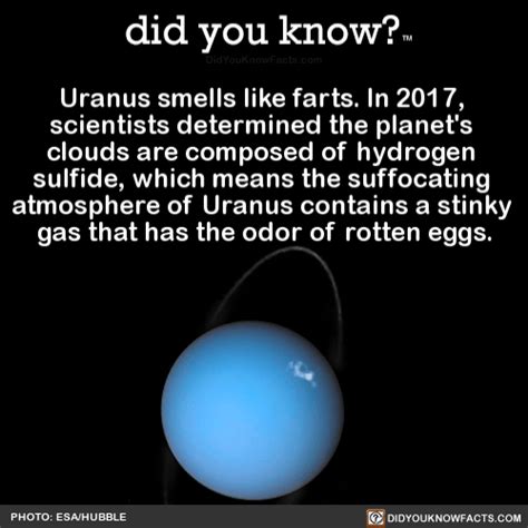 Fun Fact About Uranus Common Sense Evaluation