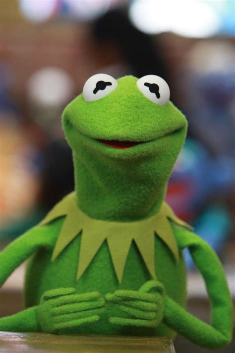 Kermit The Frog Tells Who Are The Big Cameos In Muppets