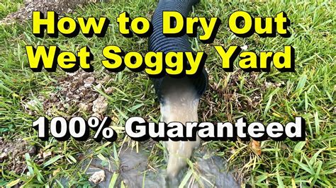 How To Dry Out Wet Soggy Yard 100 Guaranteed Youtube