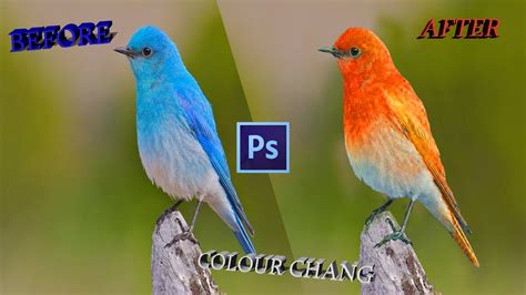 Maybe you would like to learn more about one of these? photoshop tutorial__How to change color of object_2020 ...