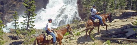 Mule And Horseback Rides Definitely Doing This When We Go To Yosemite