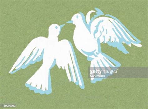 Two Doves Flying Photos And Premium High Res Pictures Getty Images