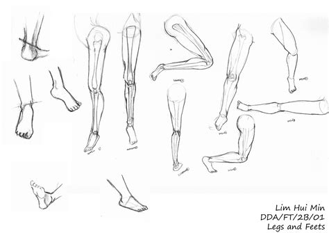 Lim Hui Min Portfolio Figure Drawing Legs And Feet