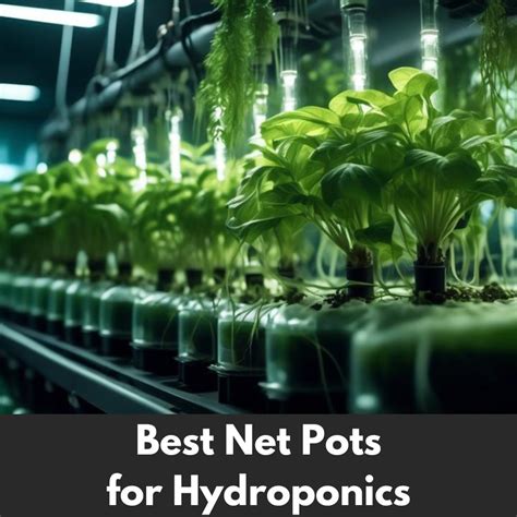 Hydroponic Product Buyer Guides Nutrientgreen