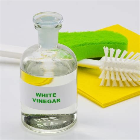 White Vinegar The Power Cleaner White Vinegar Natural Cleaning