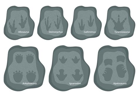 Dinosaurs Footprints 98706 Vector Art At Vecteezy