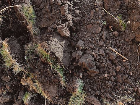 Brown Soil Plowed Field Close Up Free Stock Photo Picjumbo