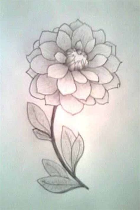 Cute But Simple Flower Drawing Just 34 Drawn On Canvas Up Close Look