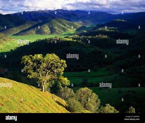 Hills Near Bear Valley Colusa County California Stock Photo Alamy