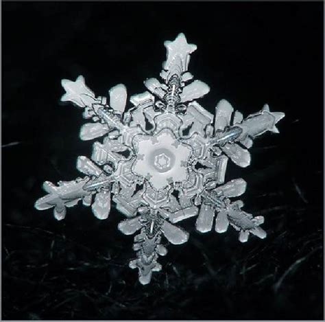 Unique Snowflakes Snowflakes Pinterest