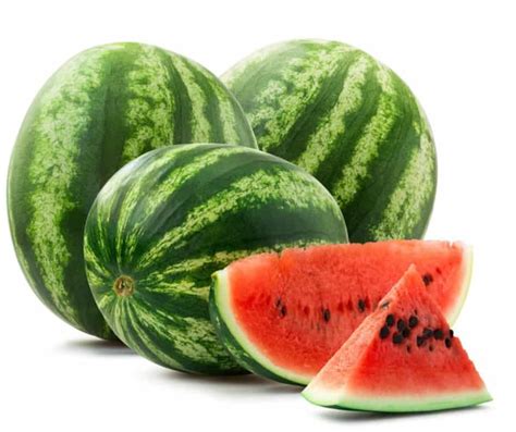 Types Of Melons 20 Melon Varieties That You Should Know Morflora