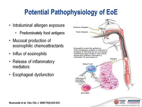 Ppt Eosinophilic Esophagitis Diagnosis And Management 2nd Edition Core